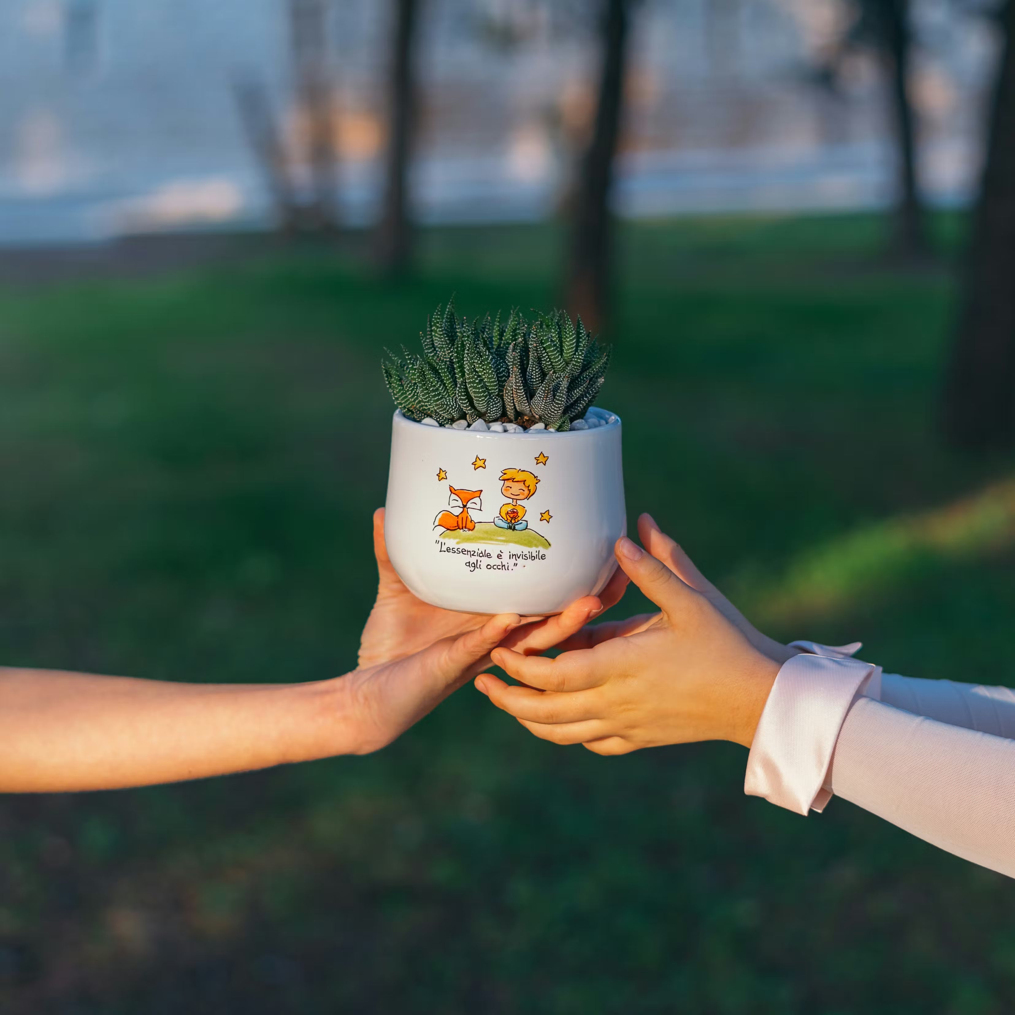 Battesimi e comunioni