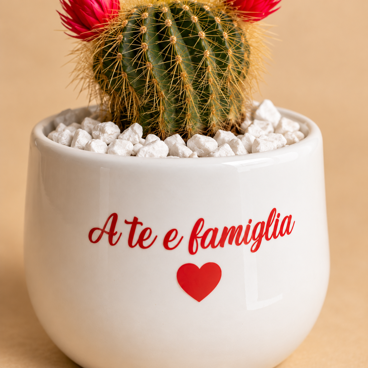 A te e famiglia