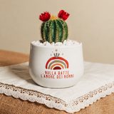 Nulla batte l'amore dei nonni con Notocactus magnificus