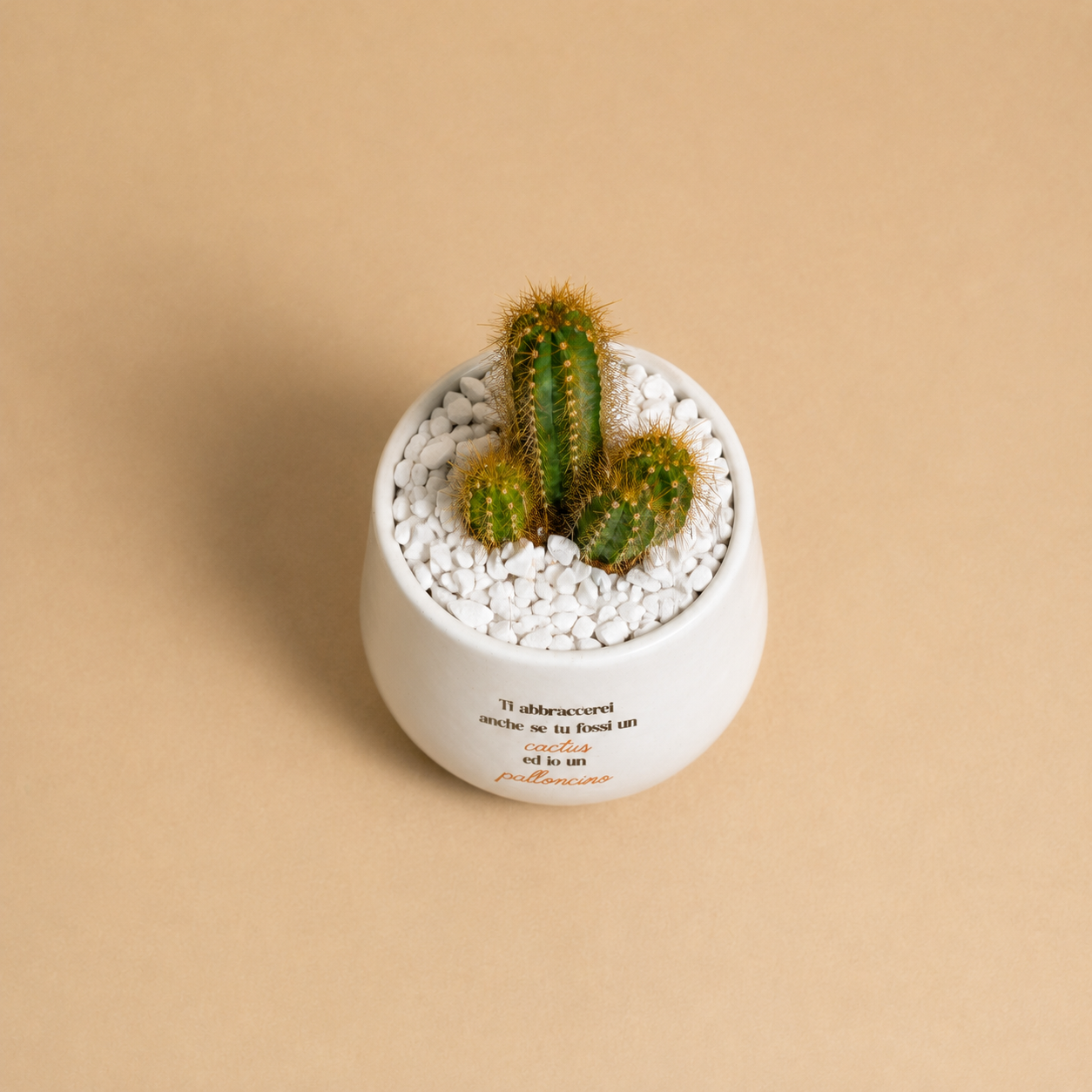 Cactus e palloncino