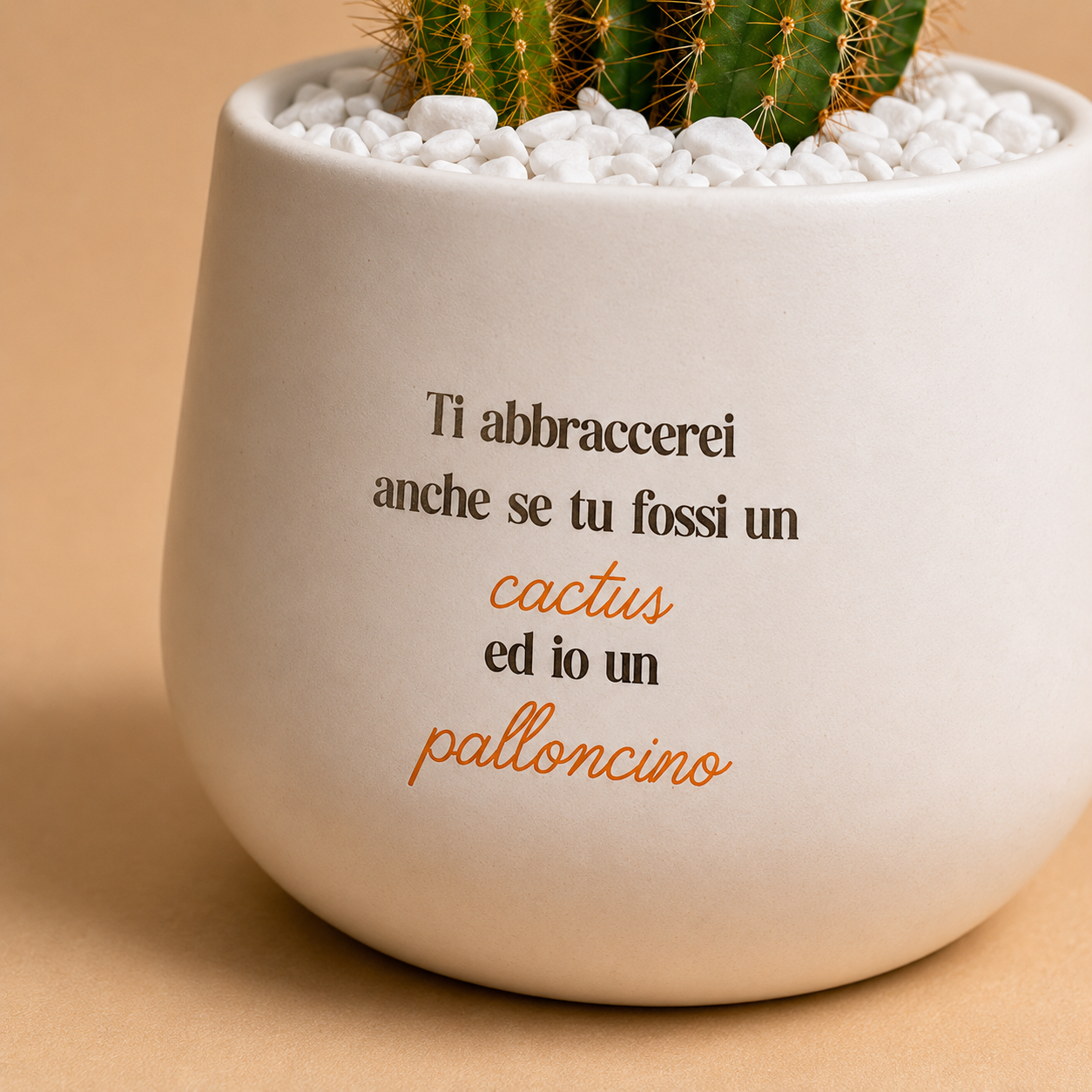 Cactus e palloncino