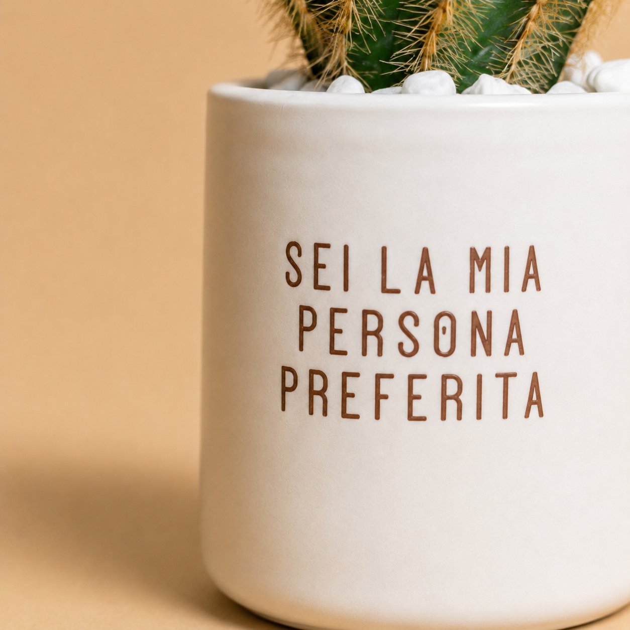 Sei la mia persona preferita