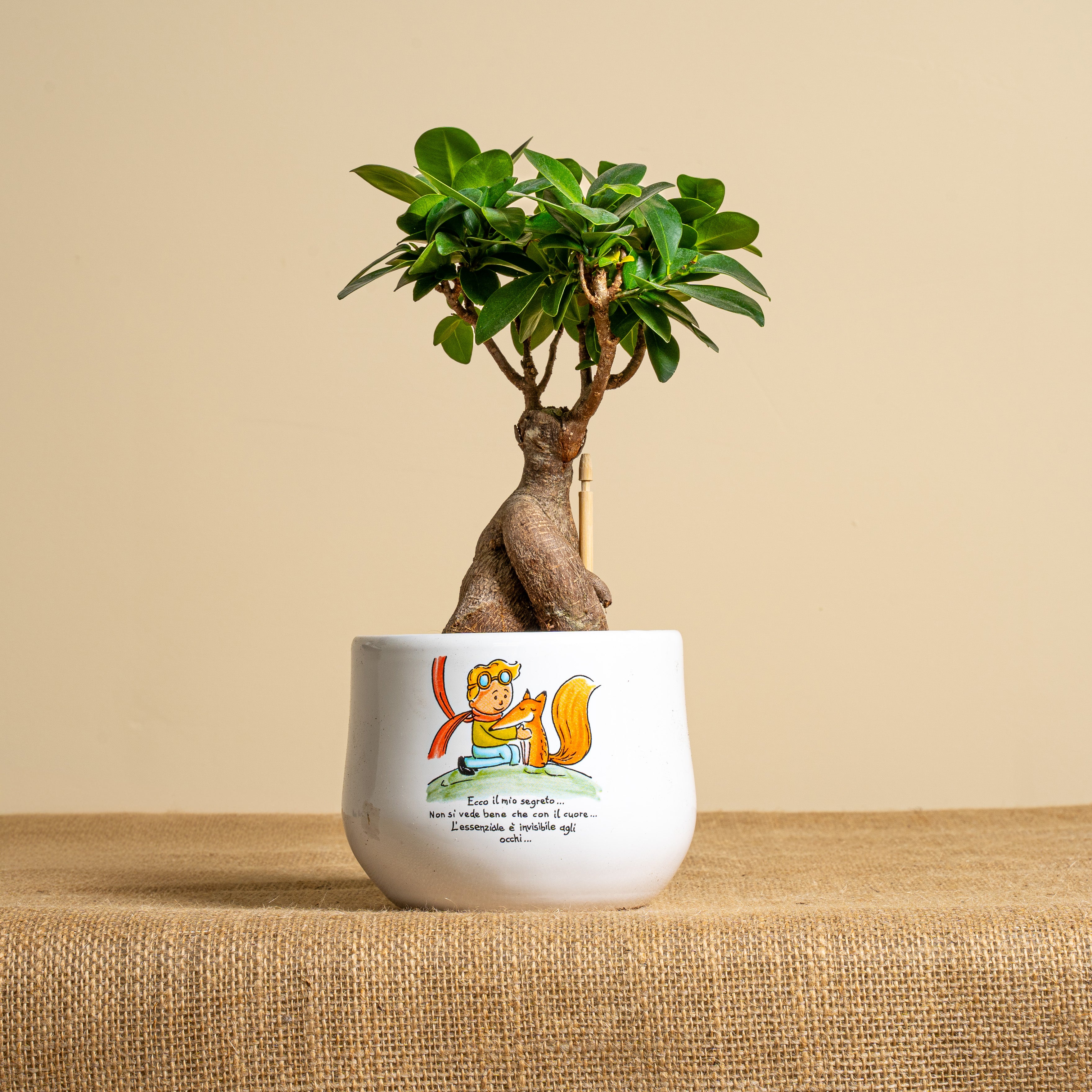 Immagine diapositiva