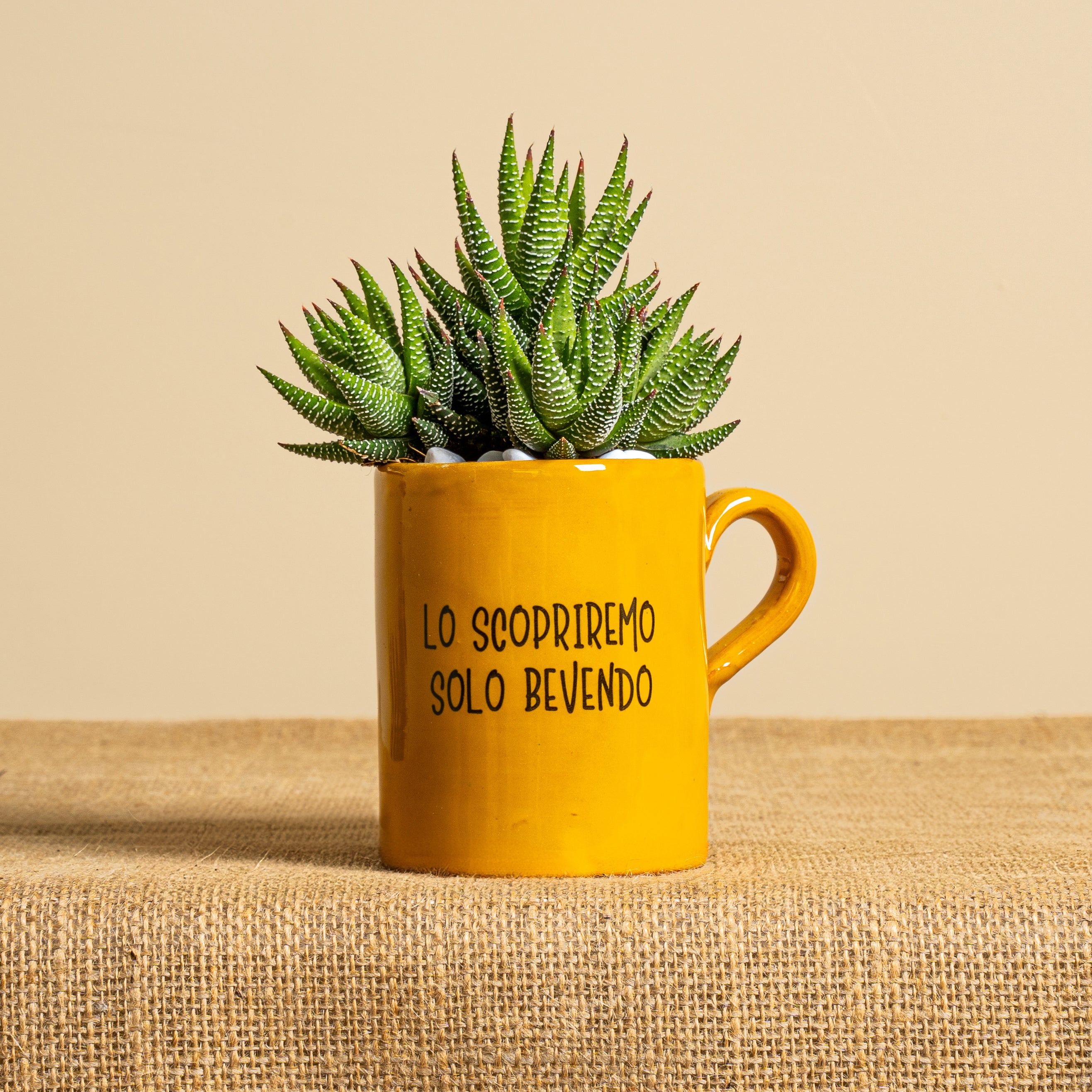 Immagine diapositiva