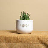 Home