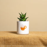Caffè