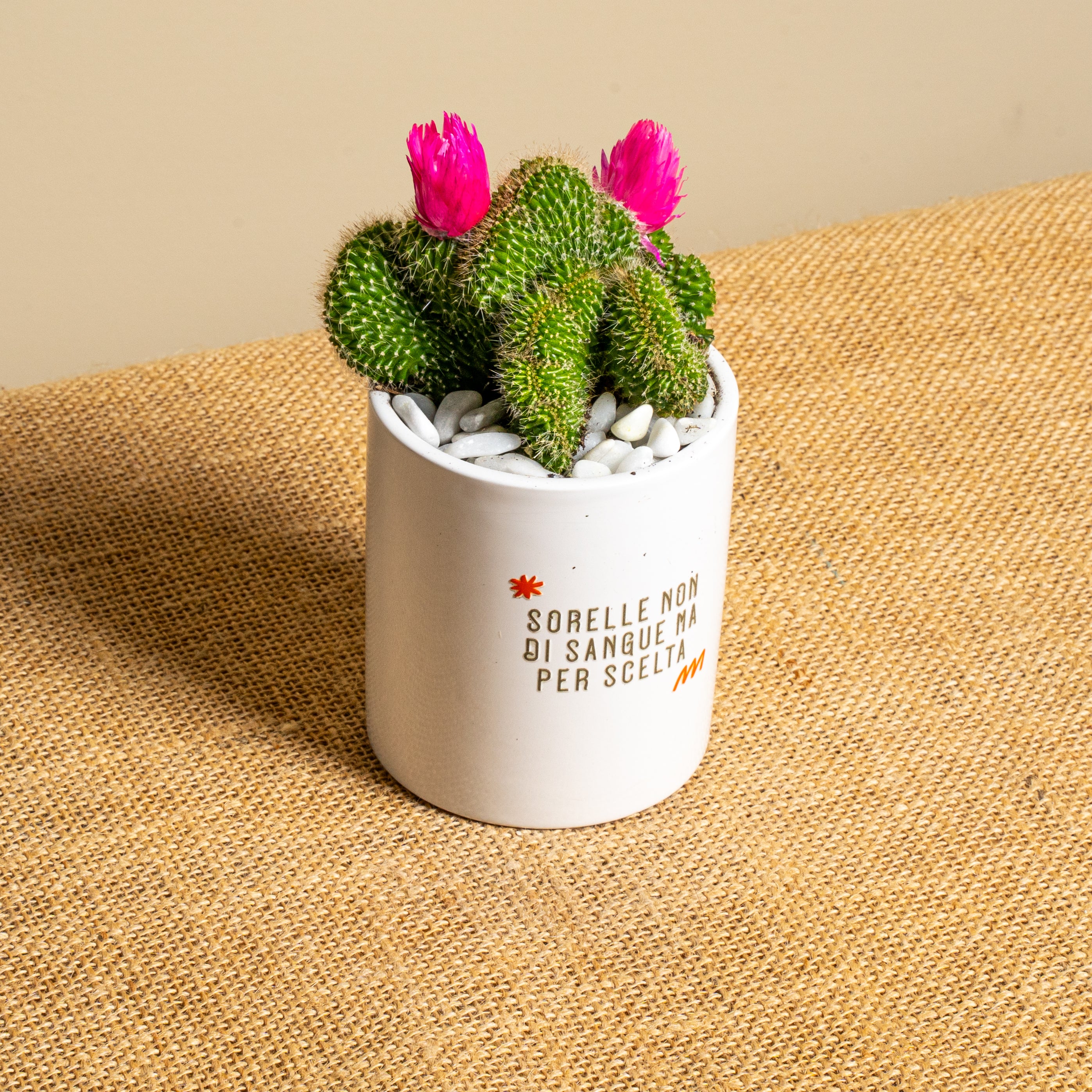 Sorelle non di sangue ma per scelta