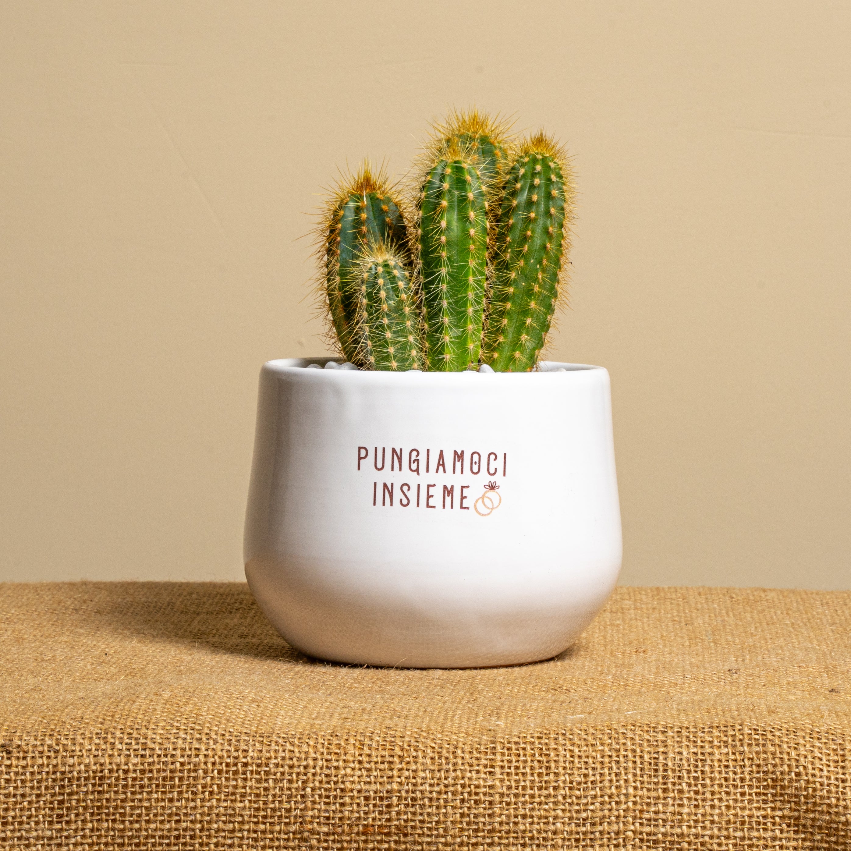 Immagine diapositiva