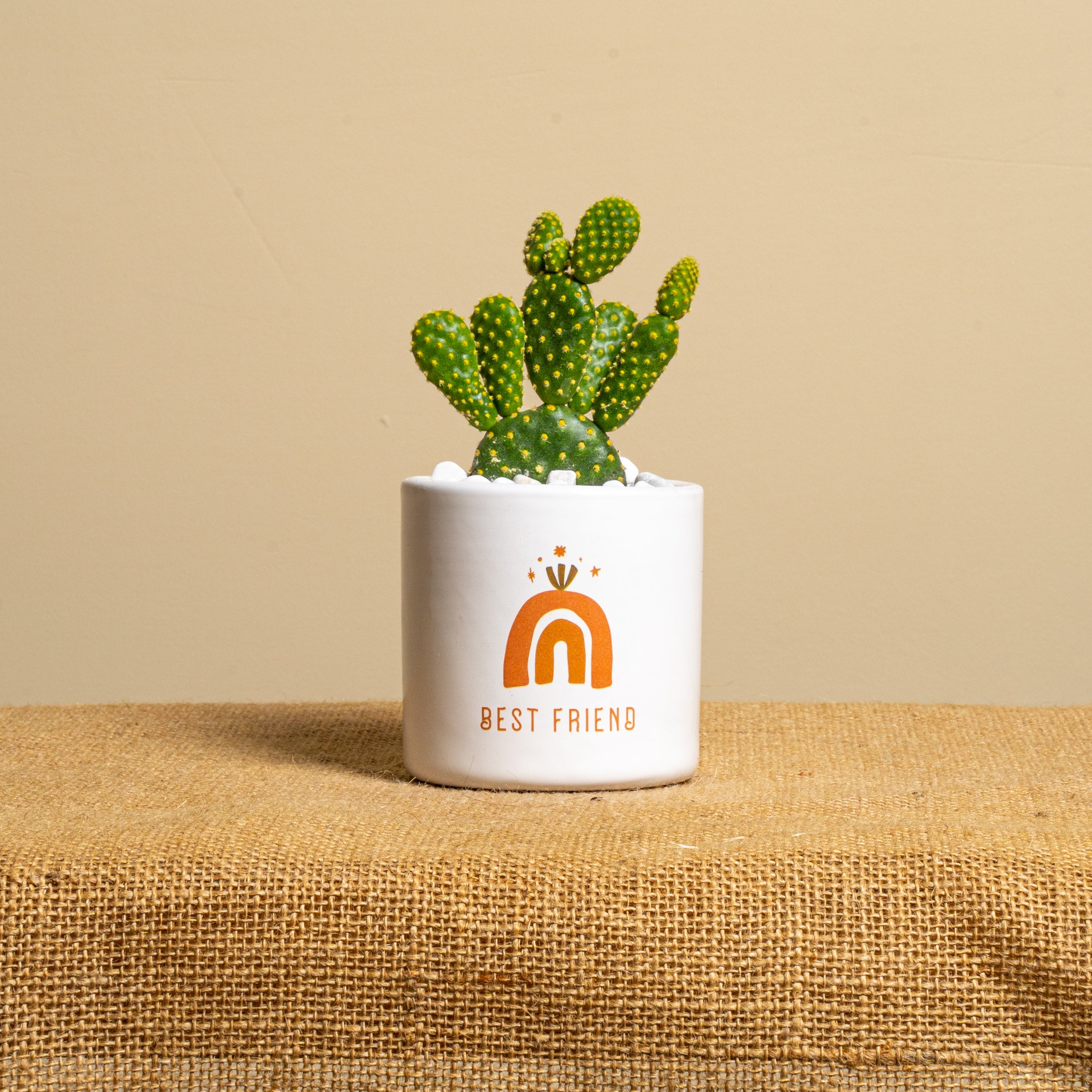 Immagine diapositiva