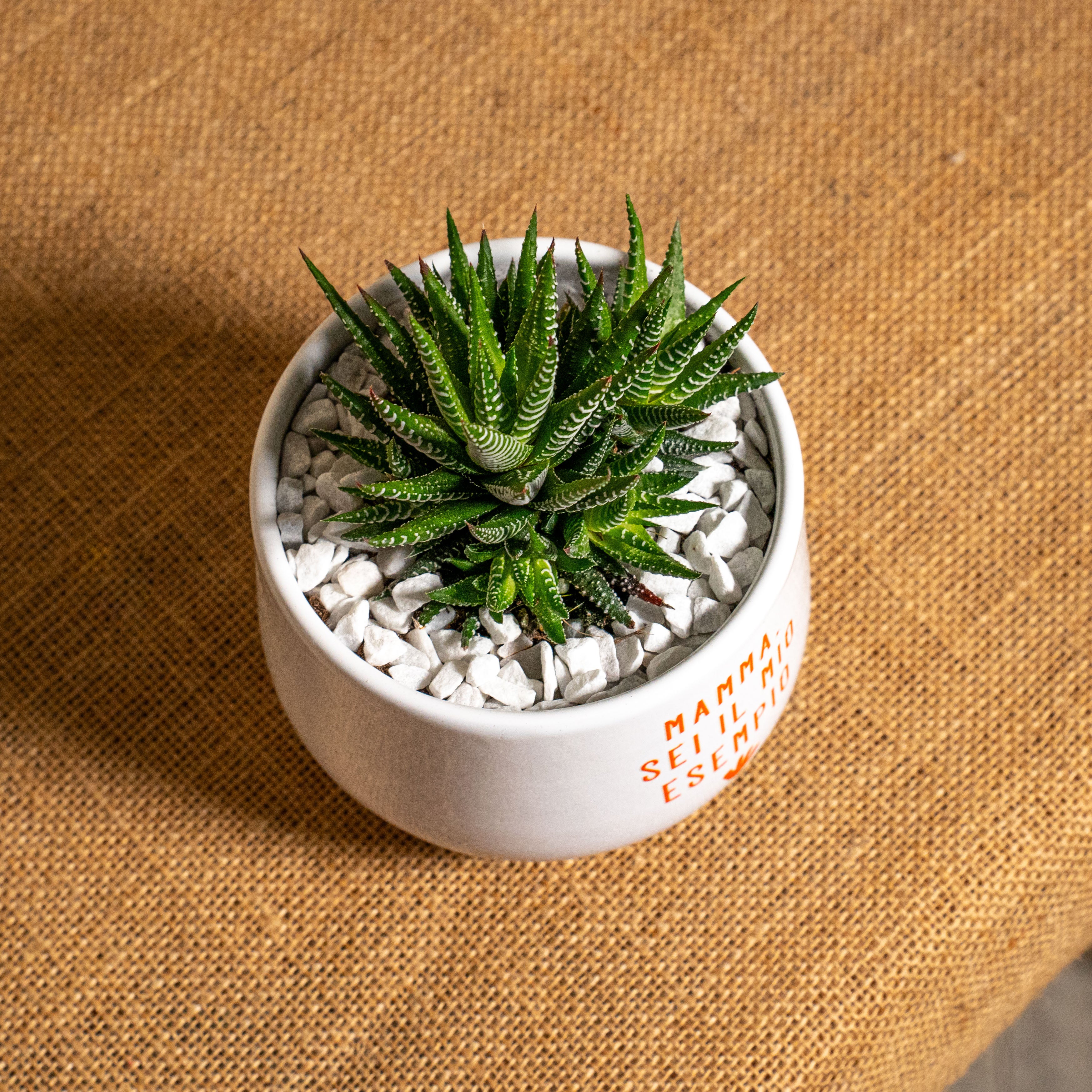 Mamma sei il mio esempio