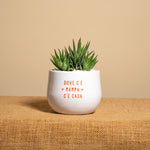 Immagine diapositiva