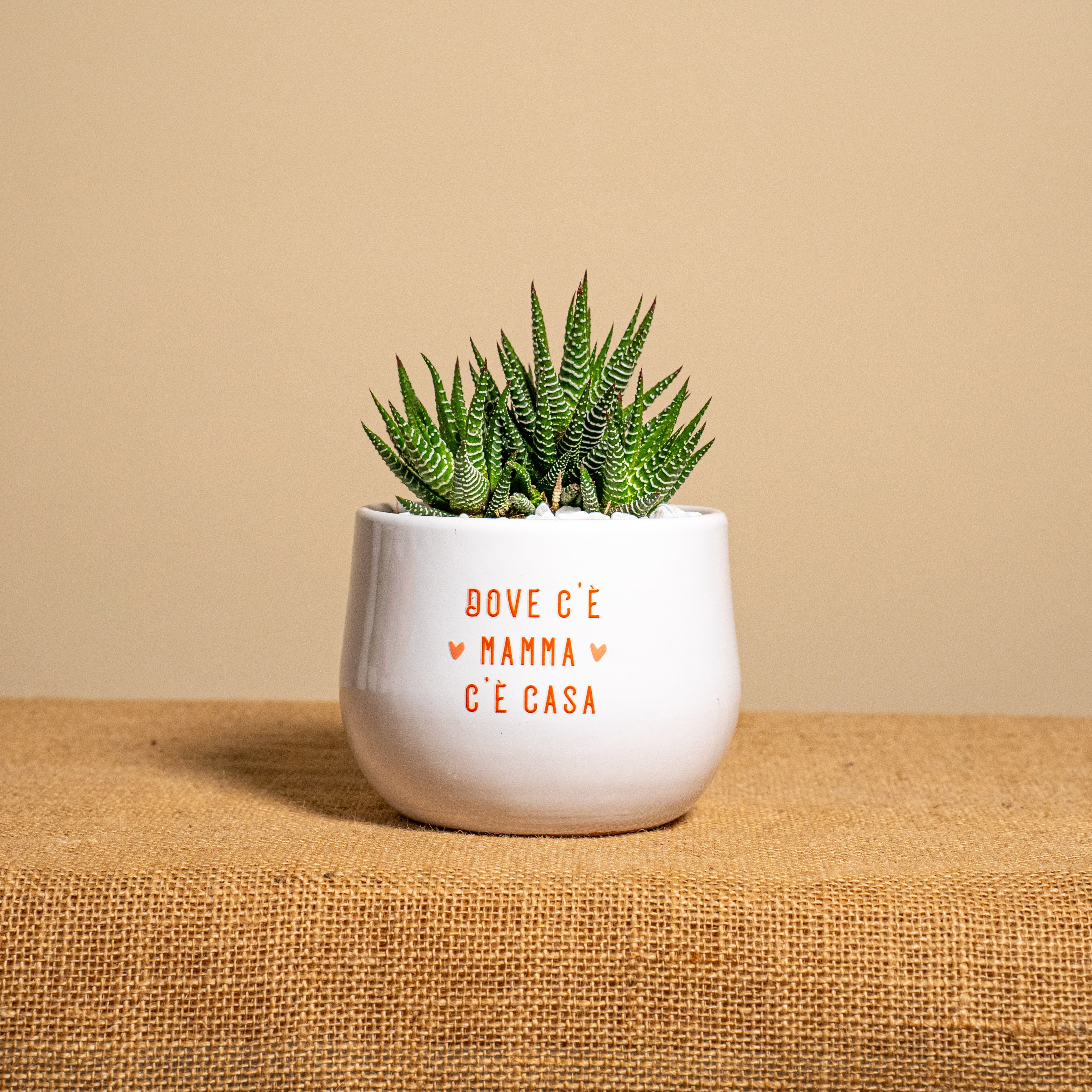 Immagine diapositiva