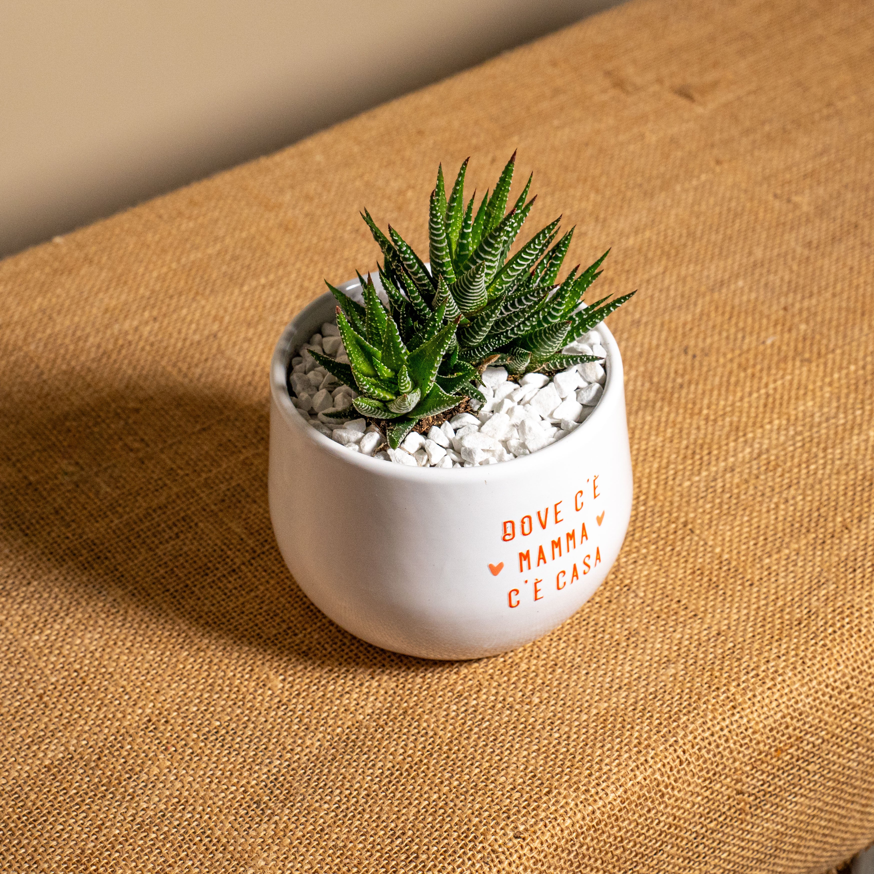 Dove c'è mamma c'è casa