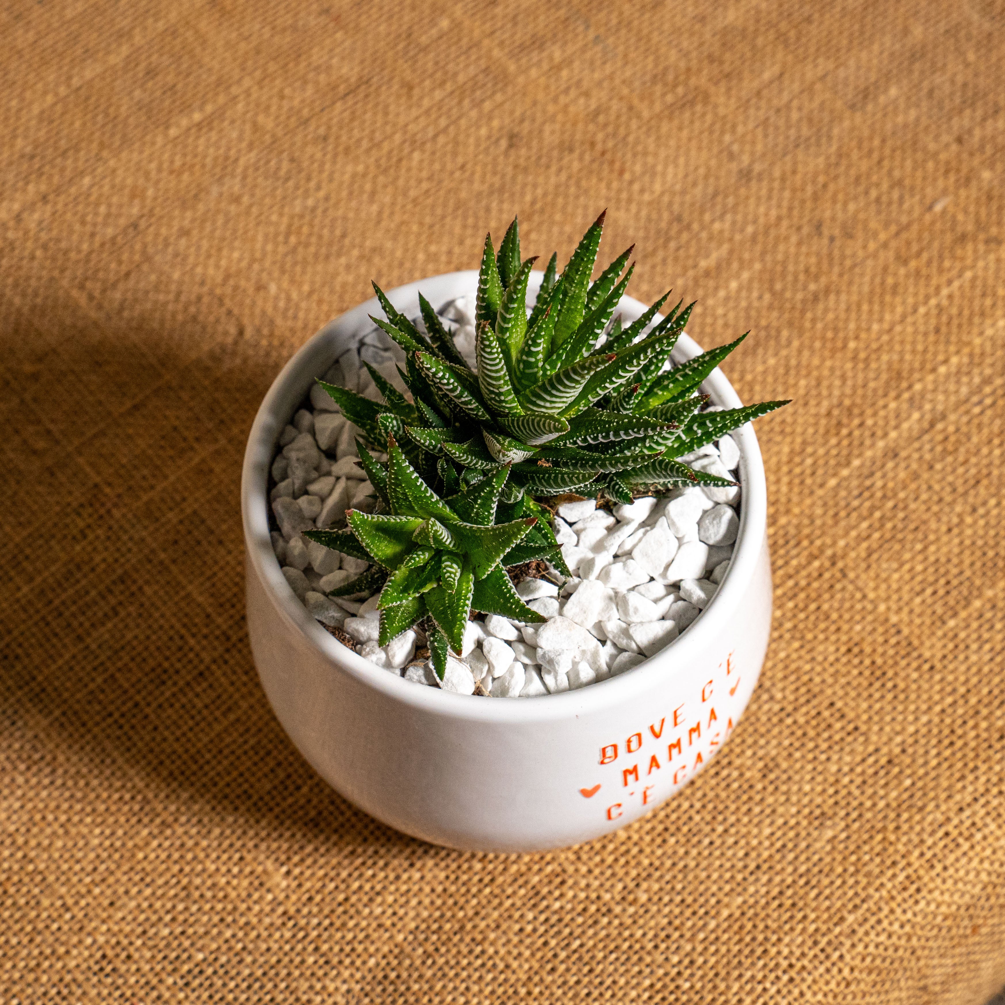 Dove c'è mamma c'è casa