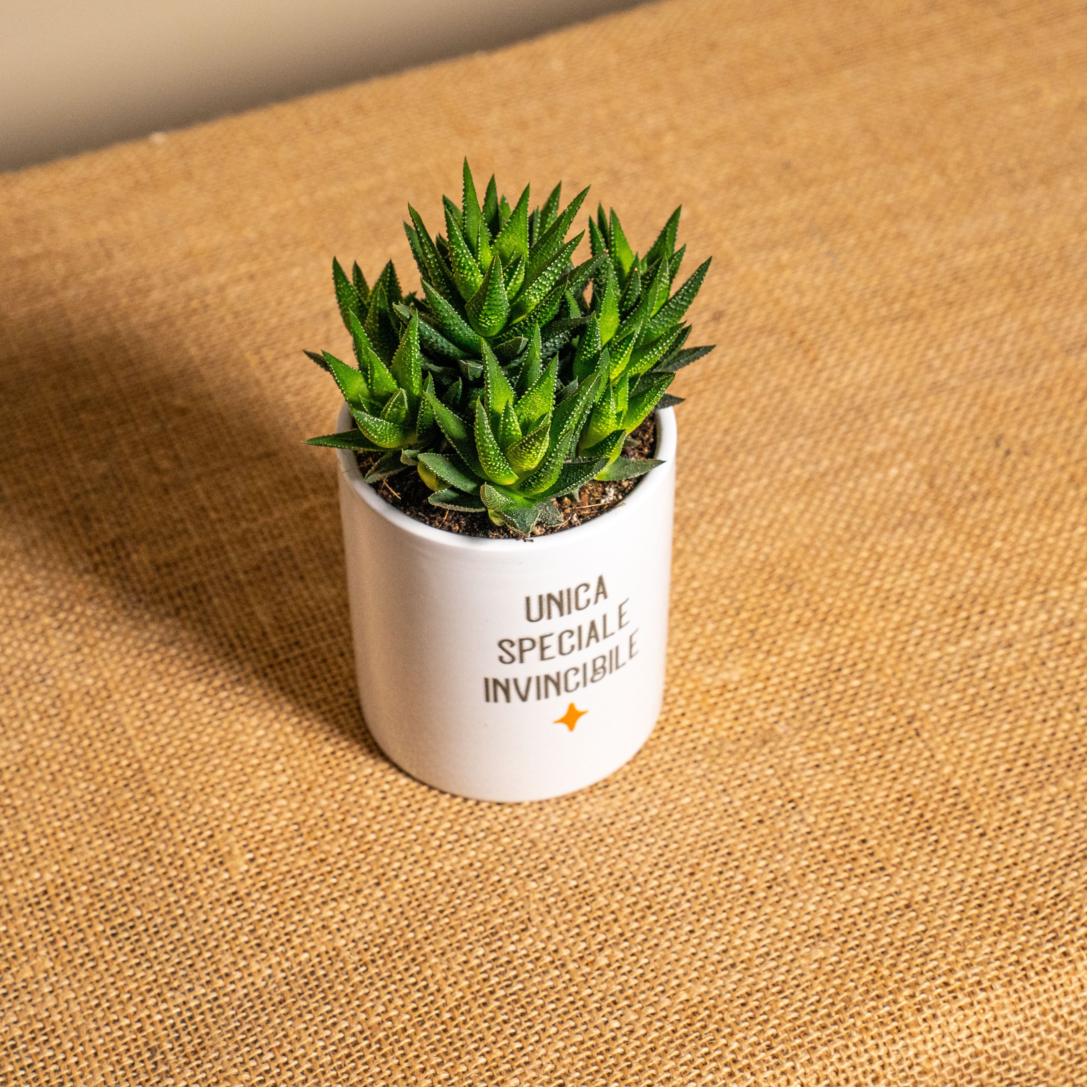 Unica, speciale, invincibile