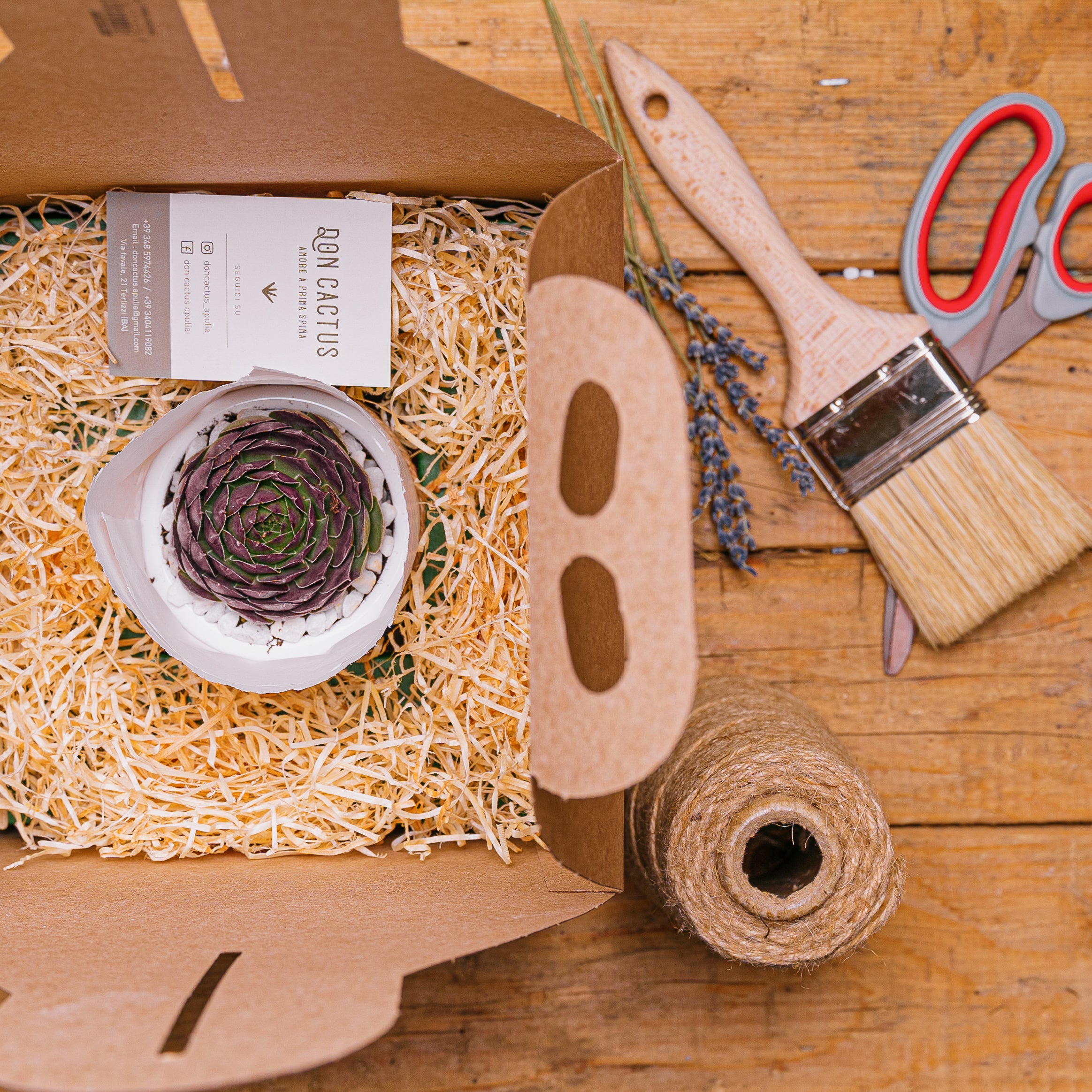 Immagine diapositiva