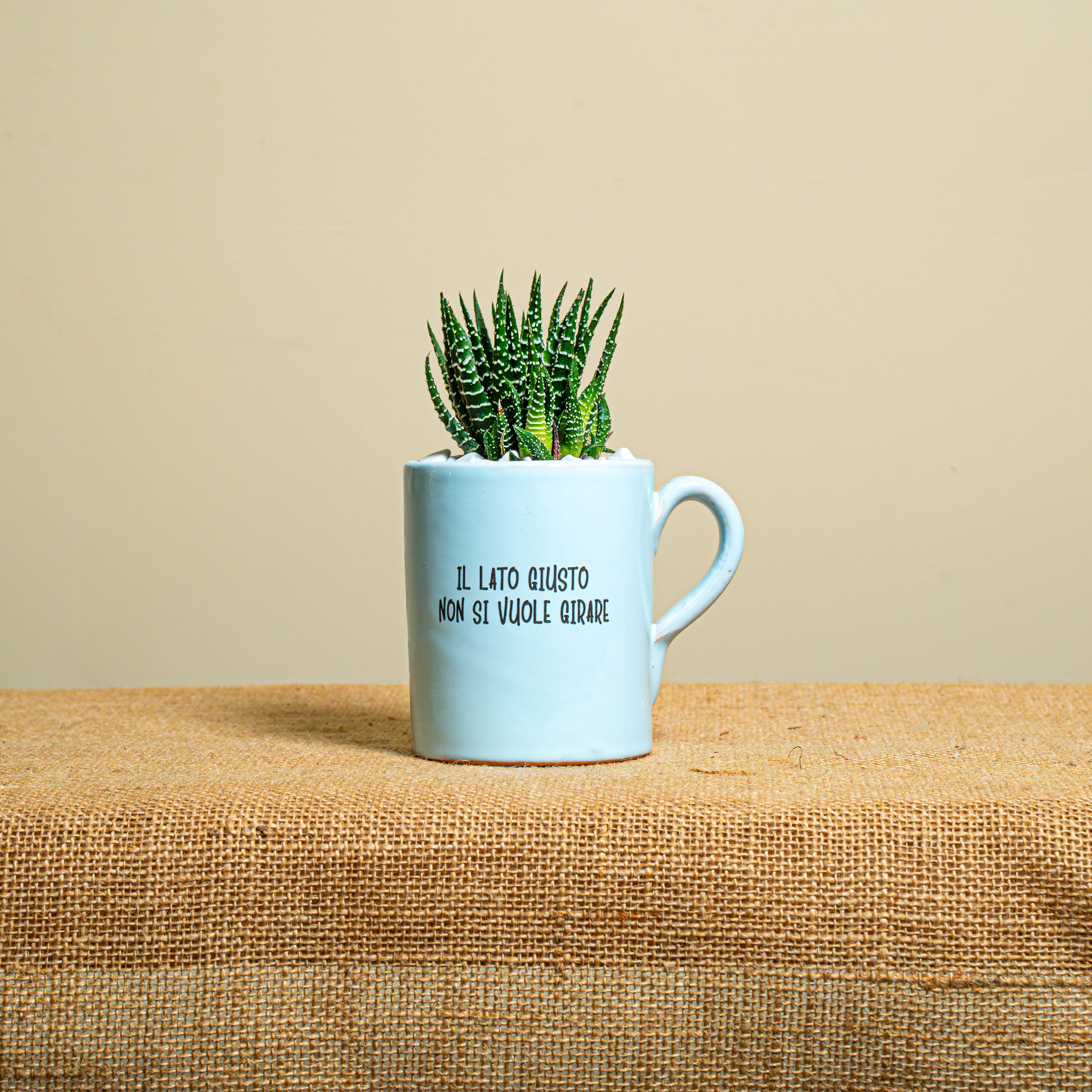 Immagine diapositiva