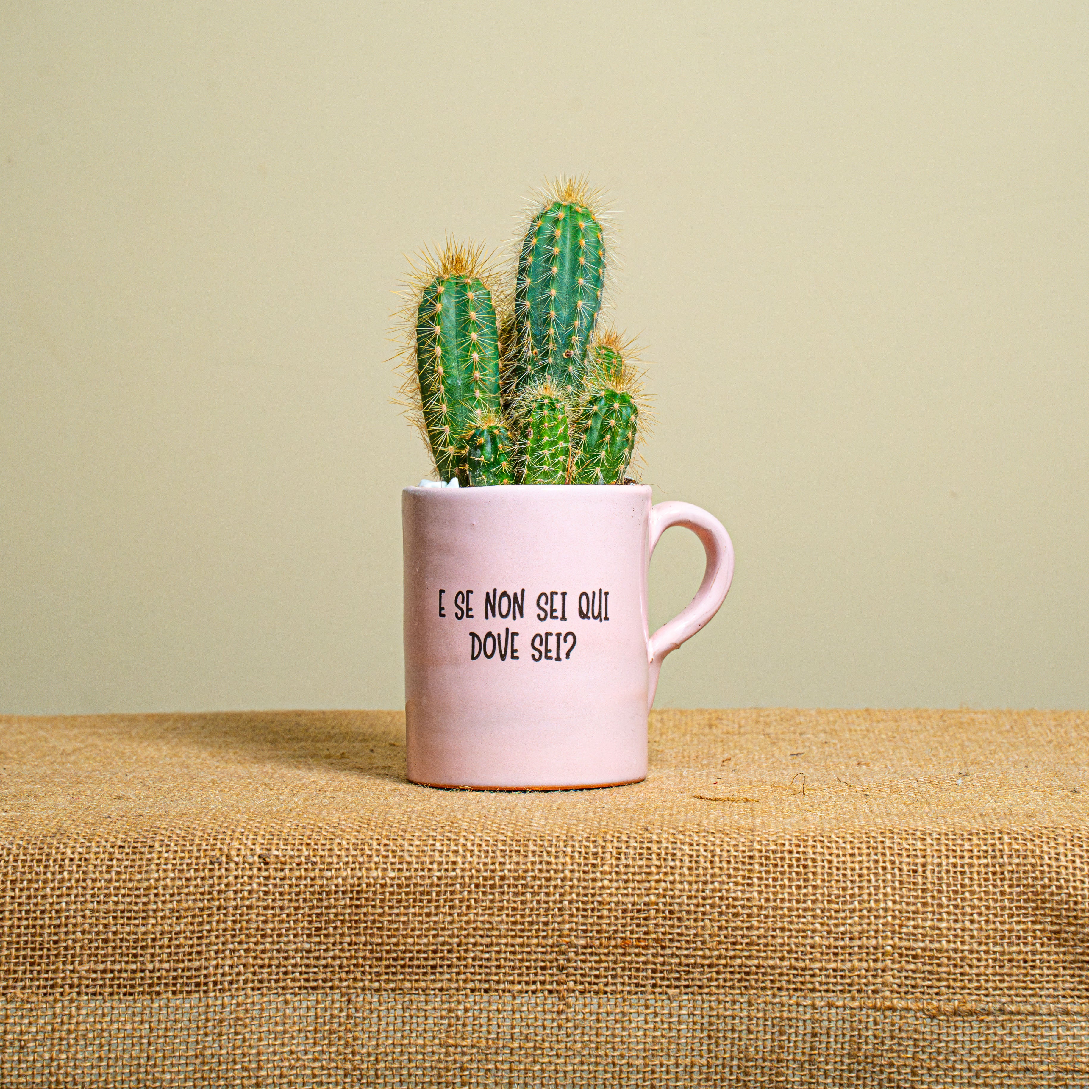 Immagine diapositiva