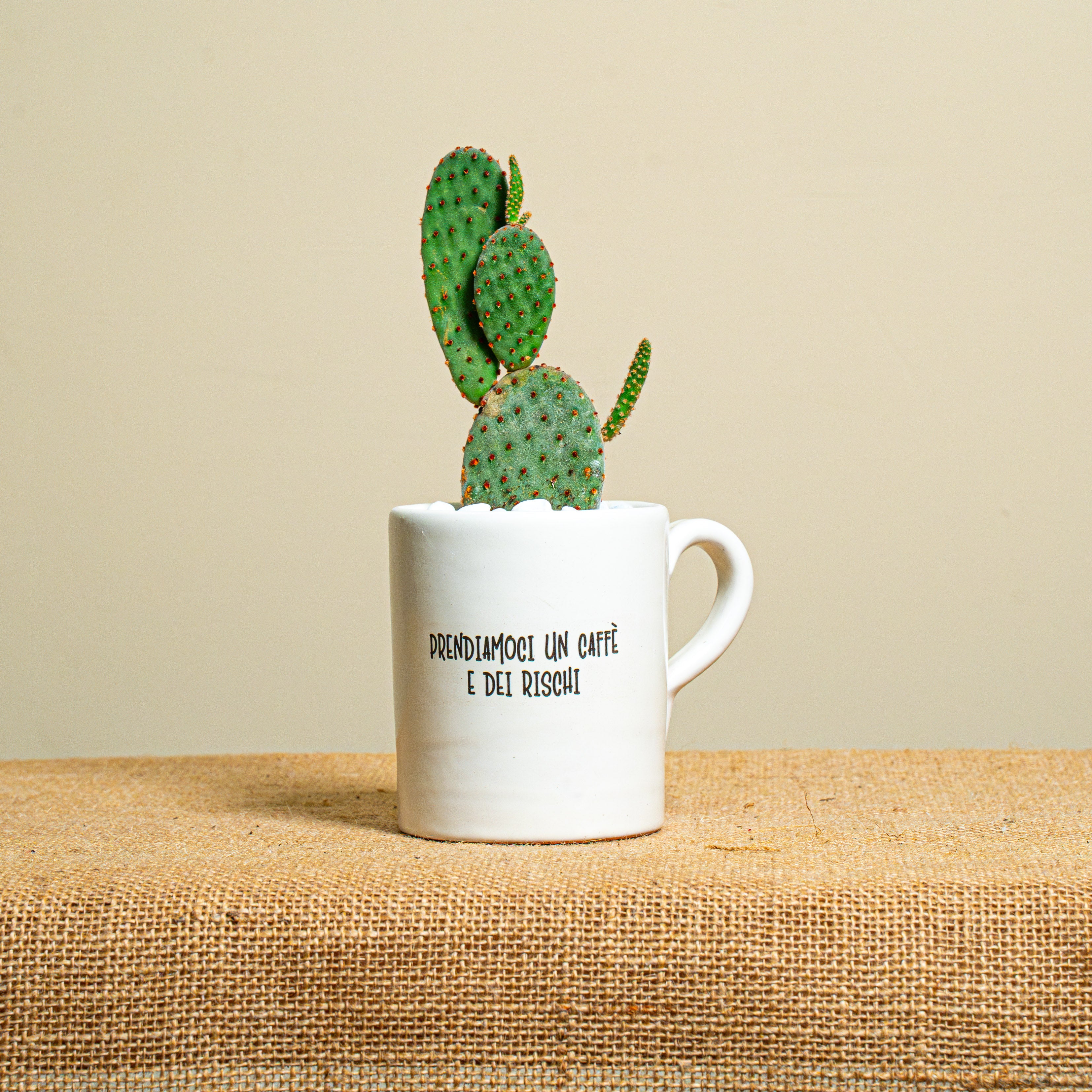 Immagine diapositiva