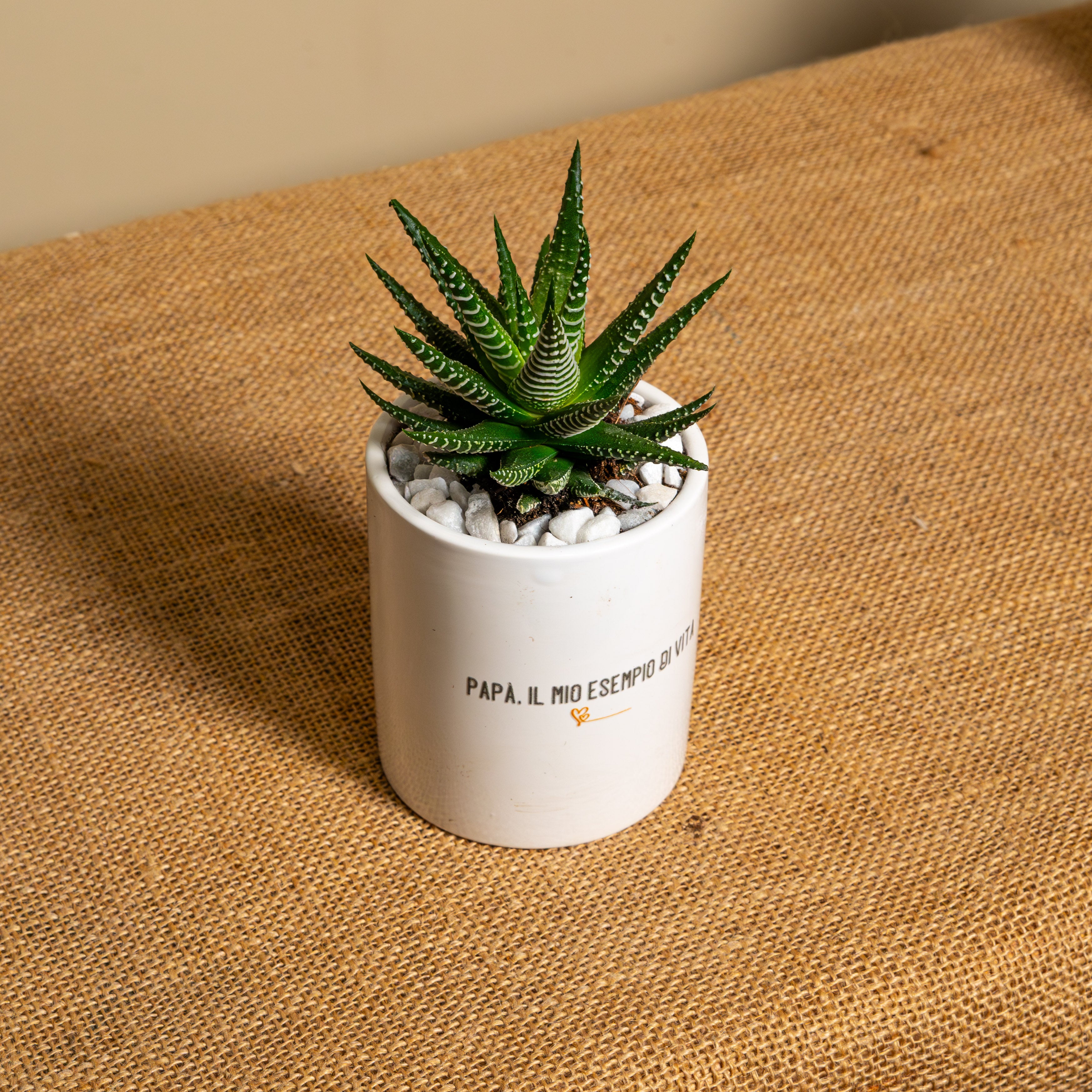 Papà, il mio esempio di vita