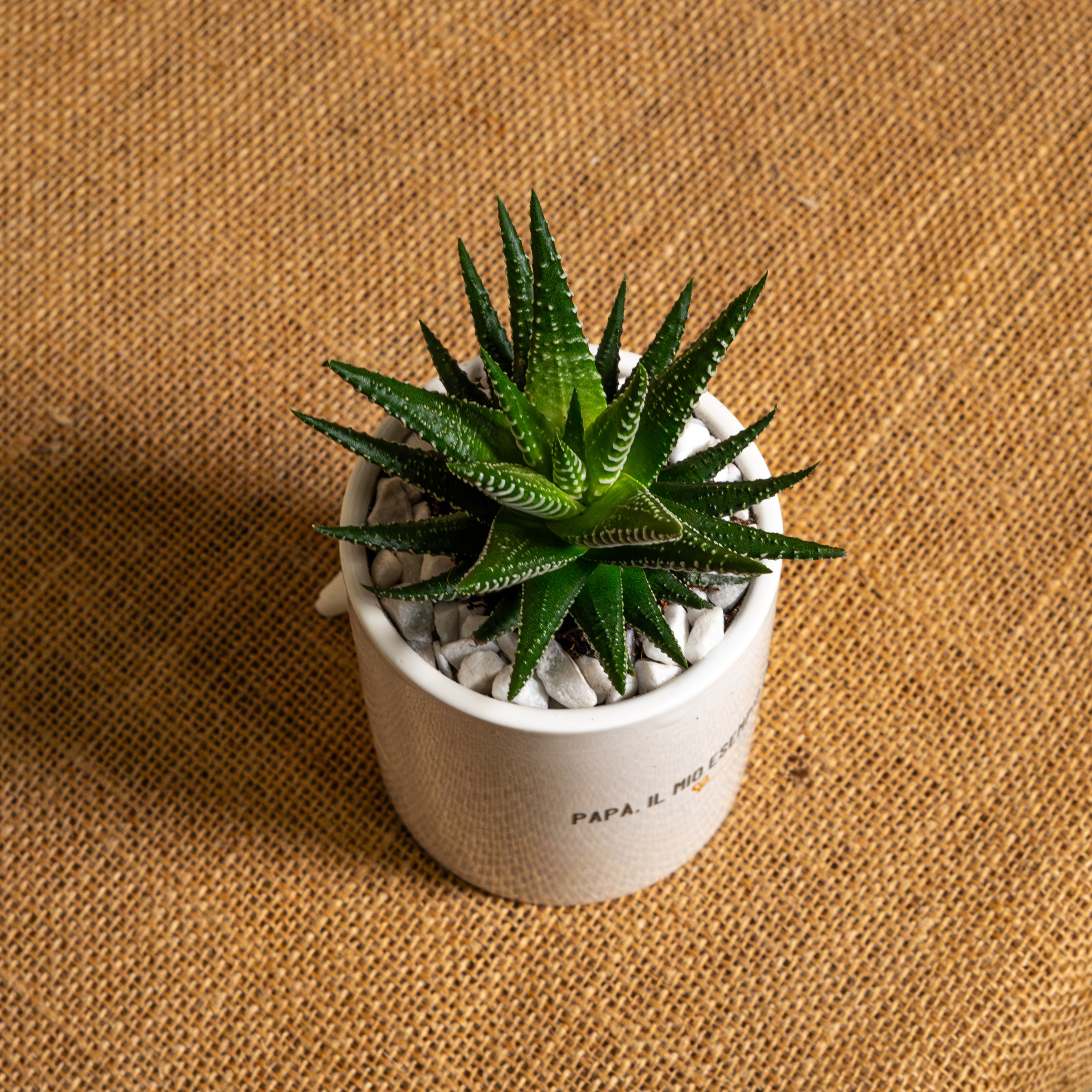 Papà, il mio esempio di vita