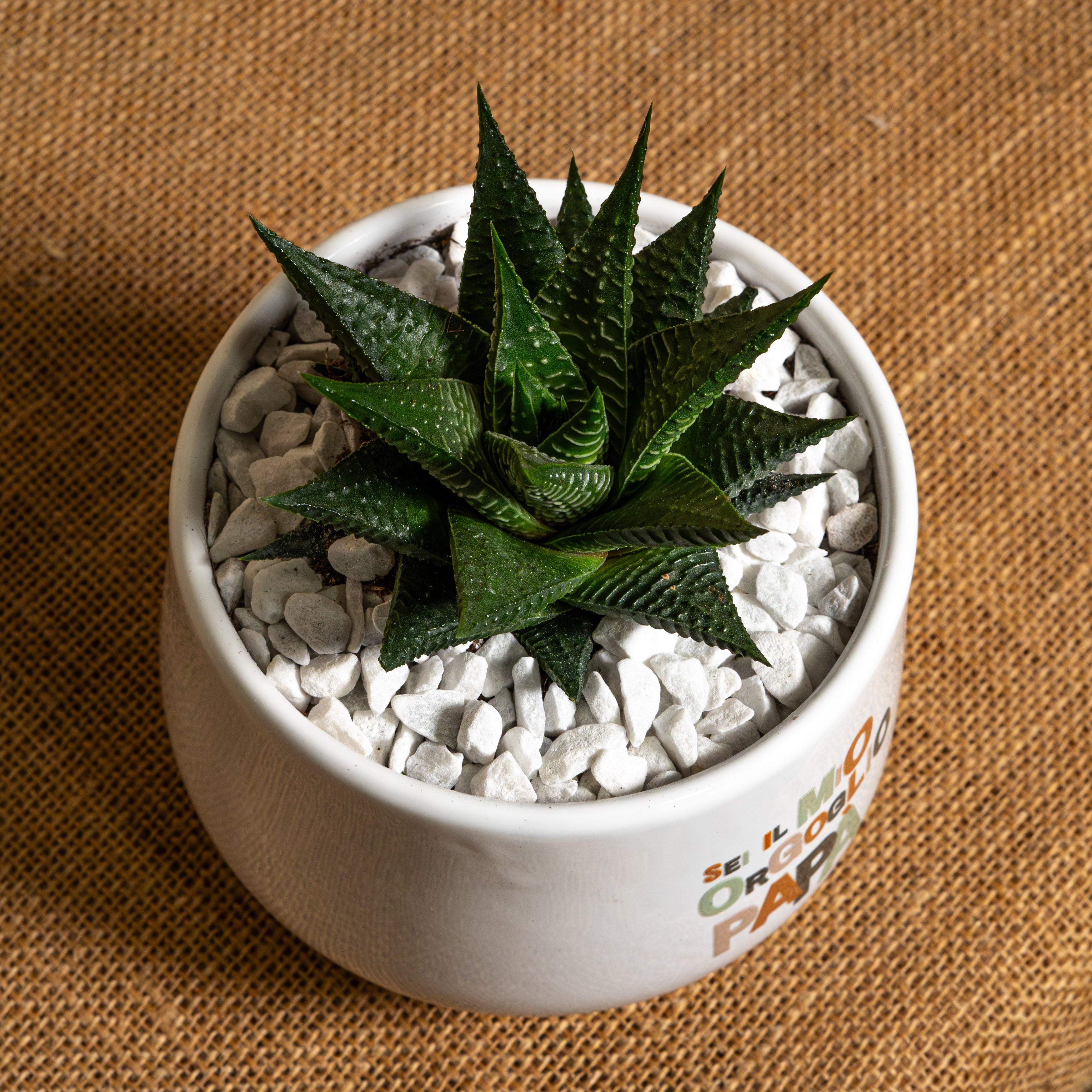 Papà sei il mio orgoglio