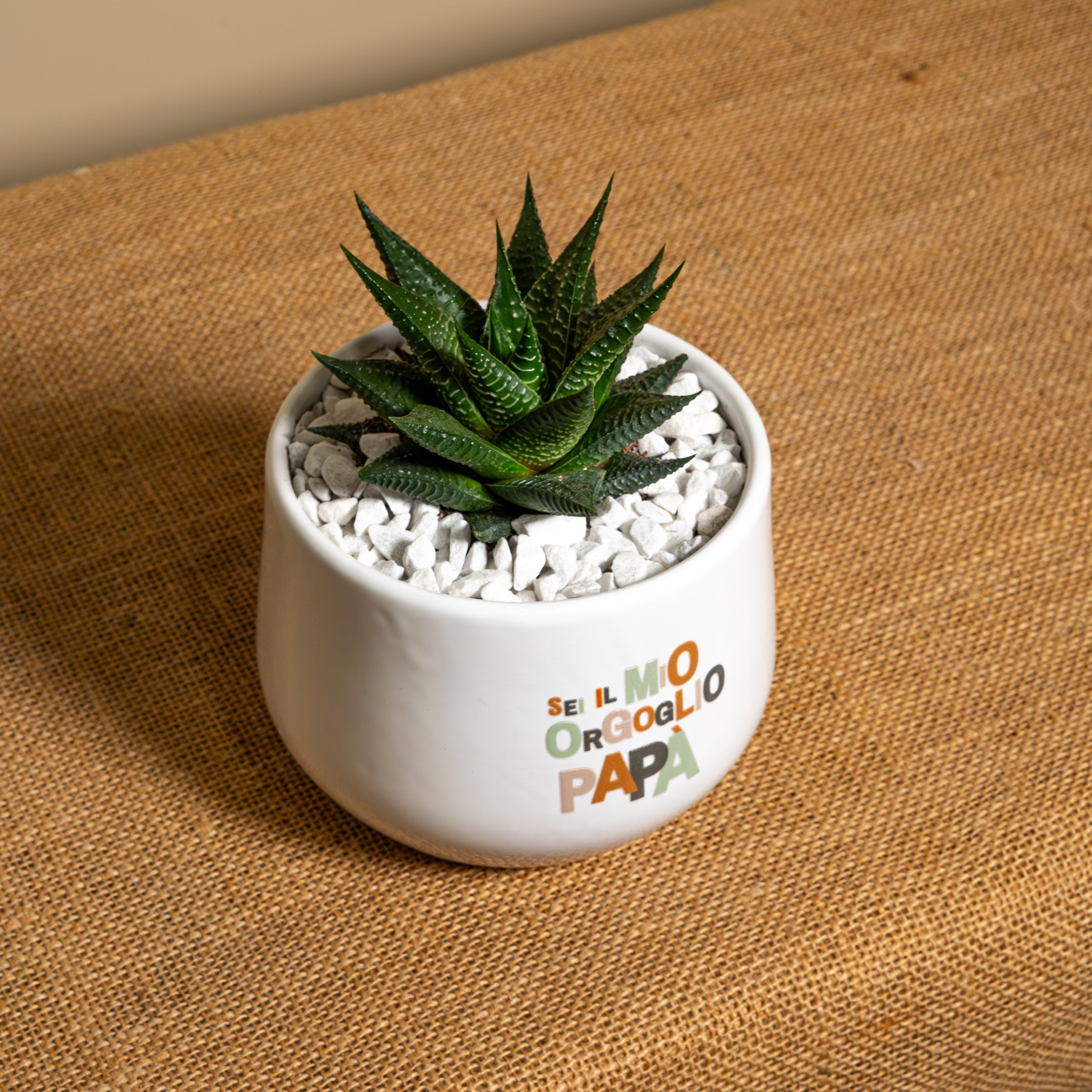 Papà sei il mio orgoglio