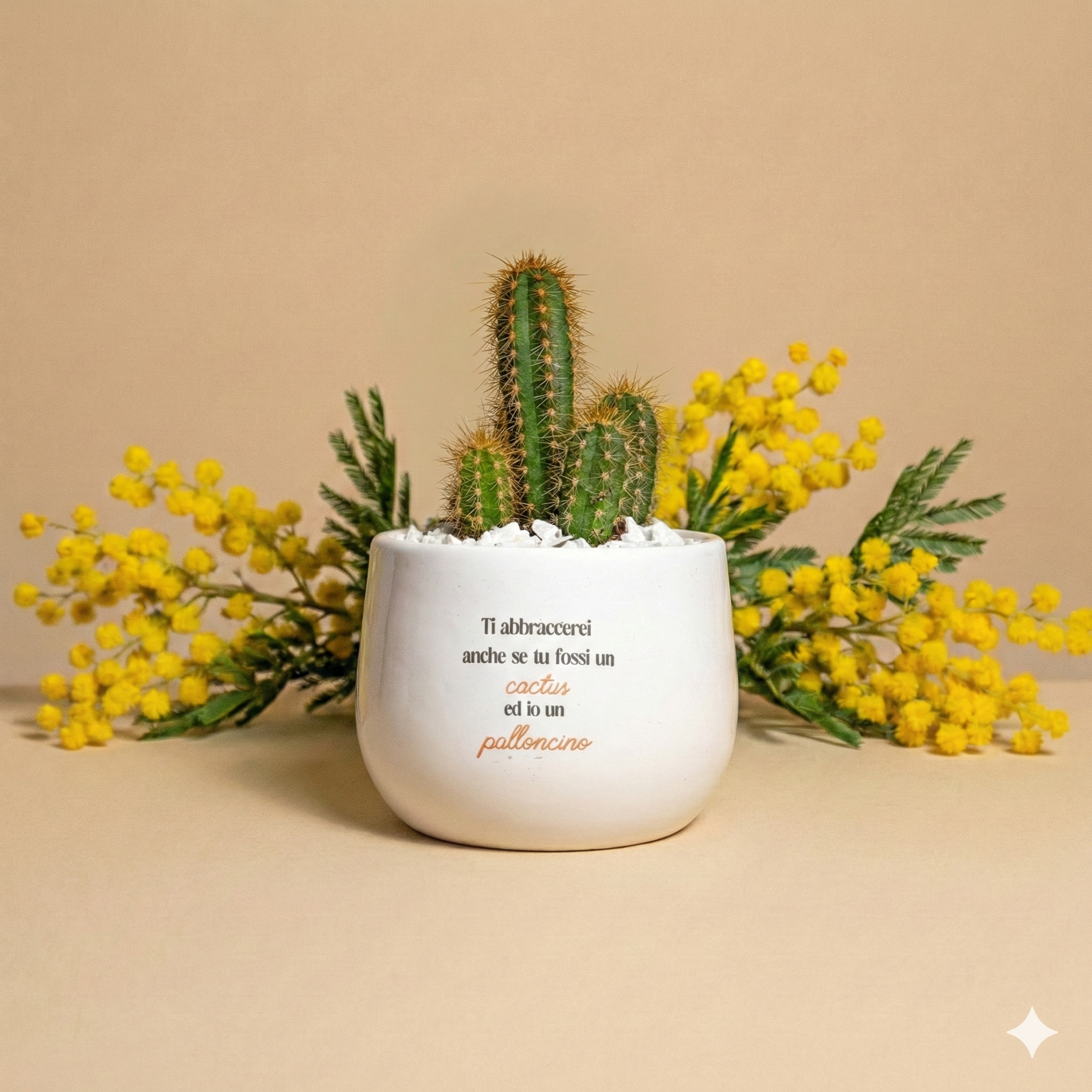 Immagine diapositiva