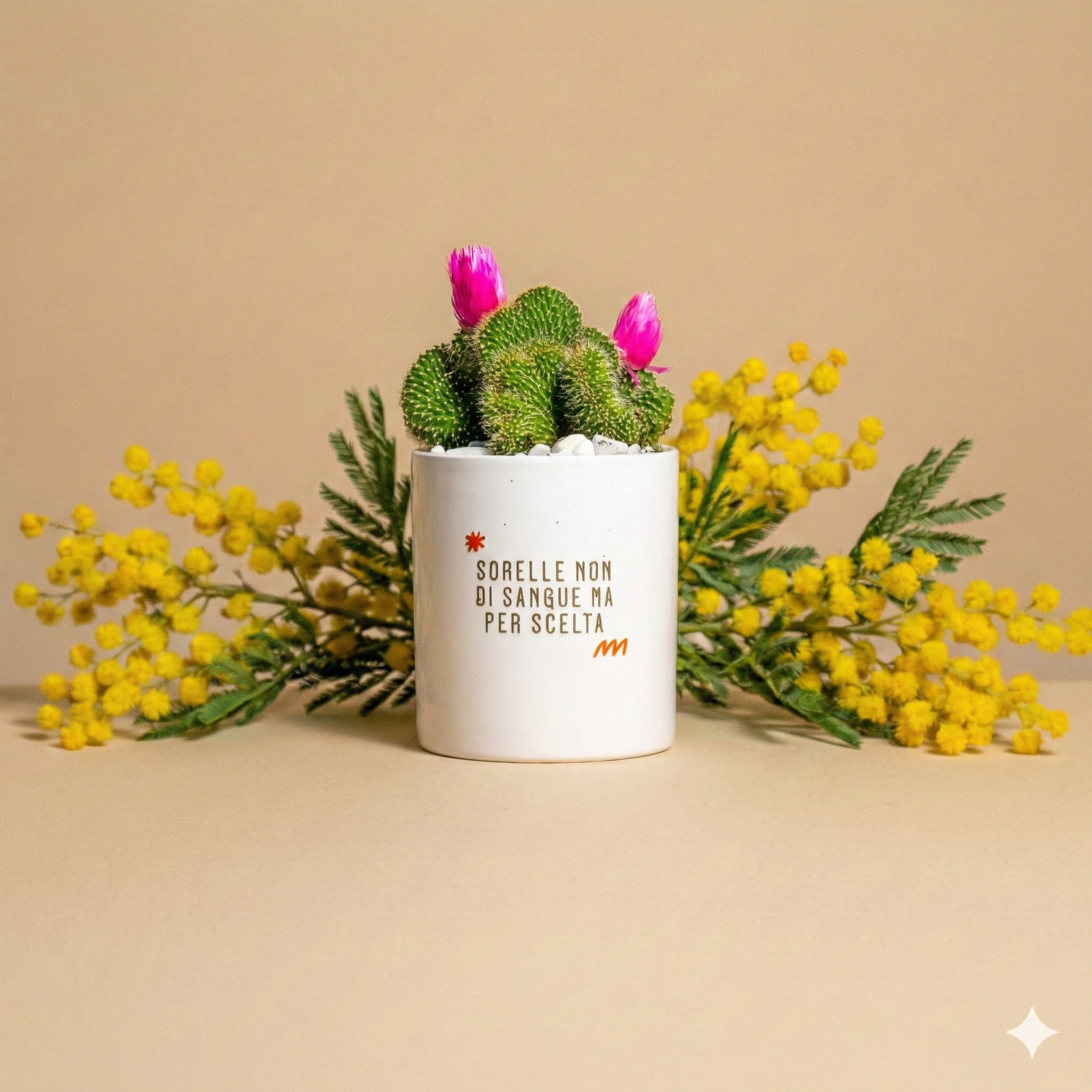 Immagine diapositiva