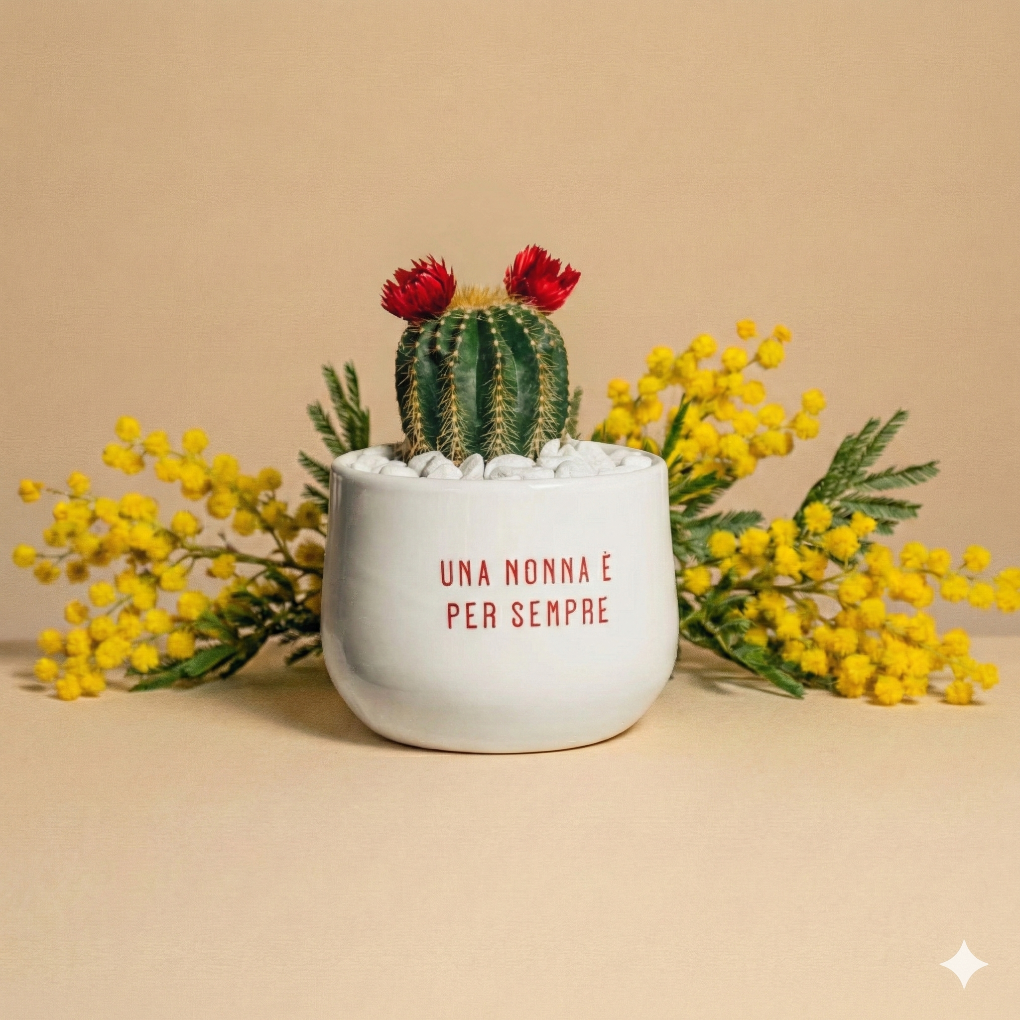 Immagine diapositiva