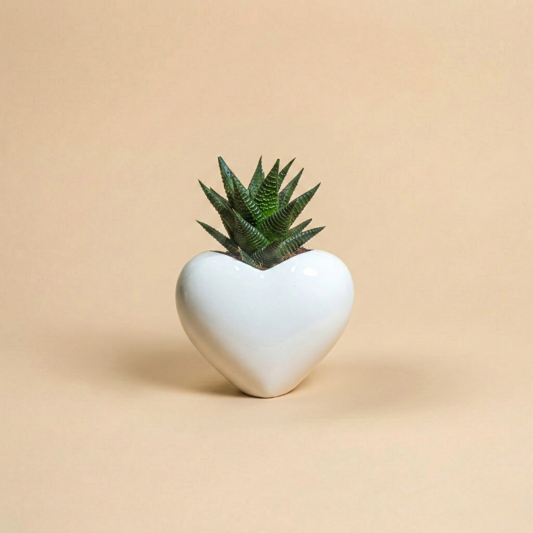 Immagine diapositiva