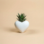 Immagine diapositiva