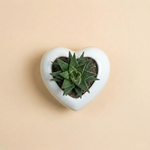 Immagine diapositiva