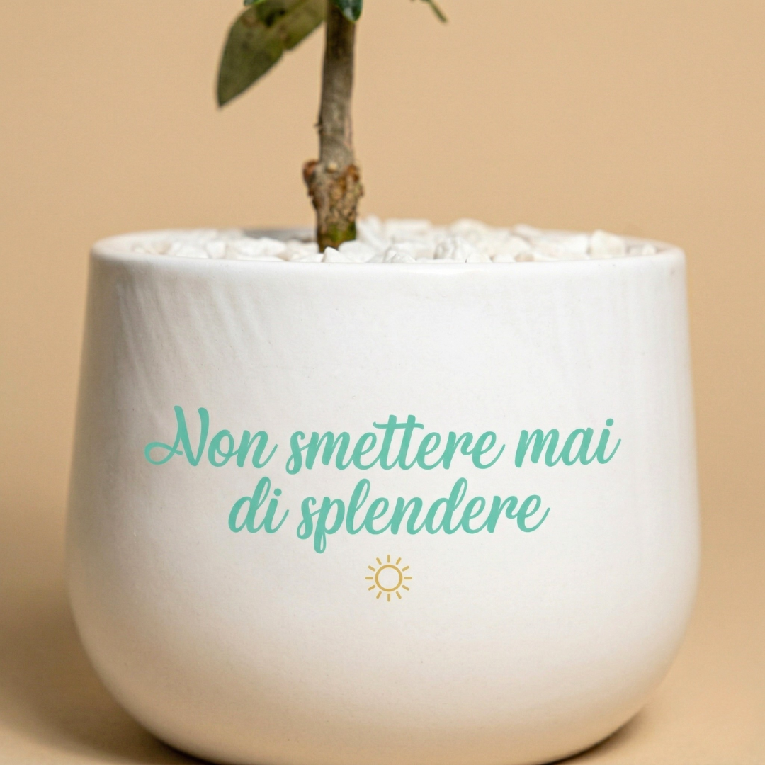Immagine diapositiva