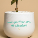 Immagine diapositiva
