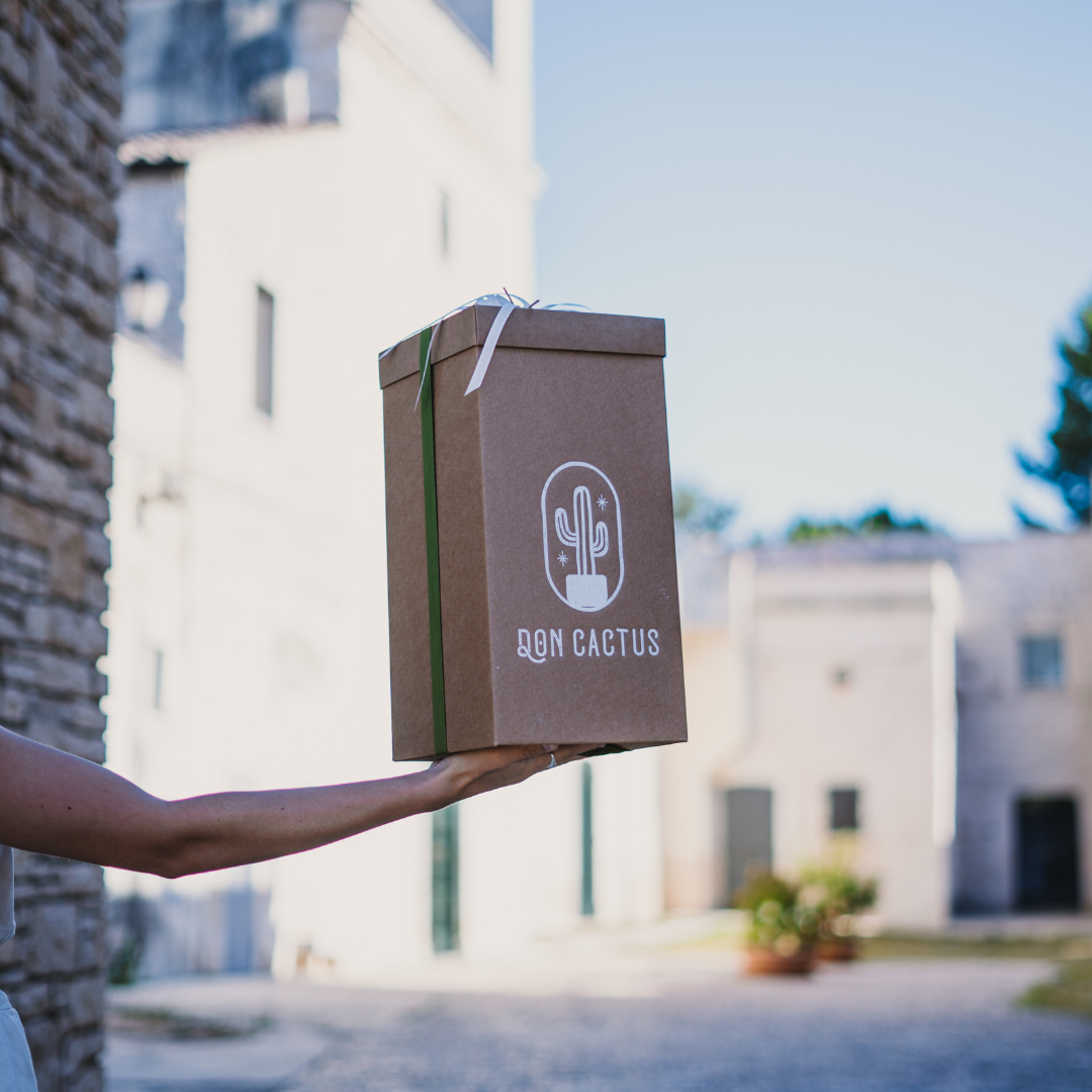 Piccolo Principe ginseng