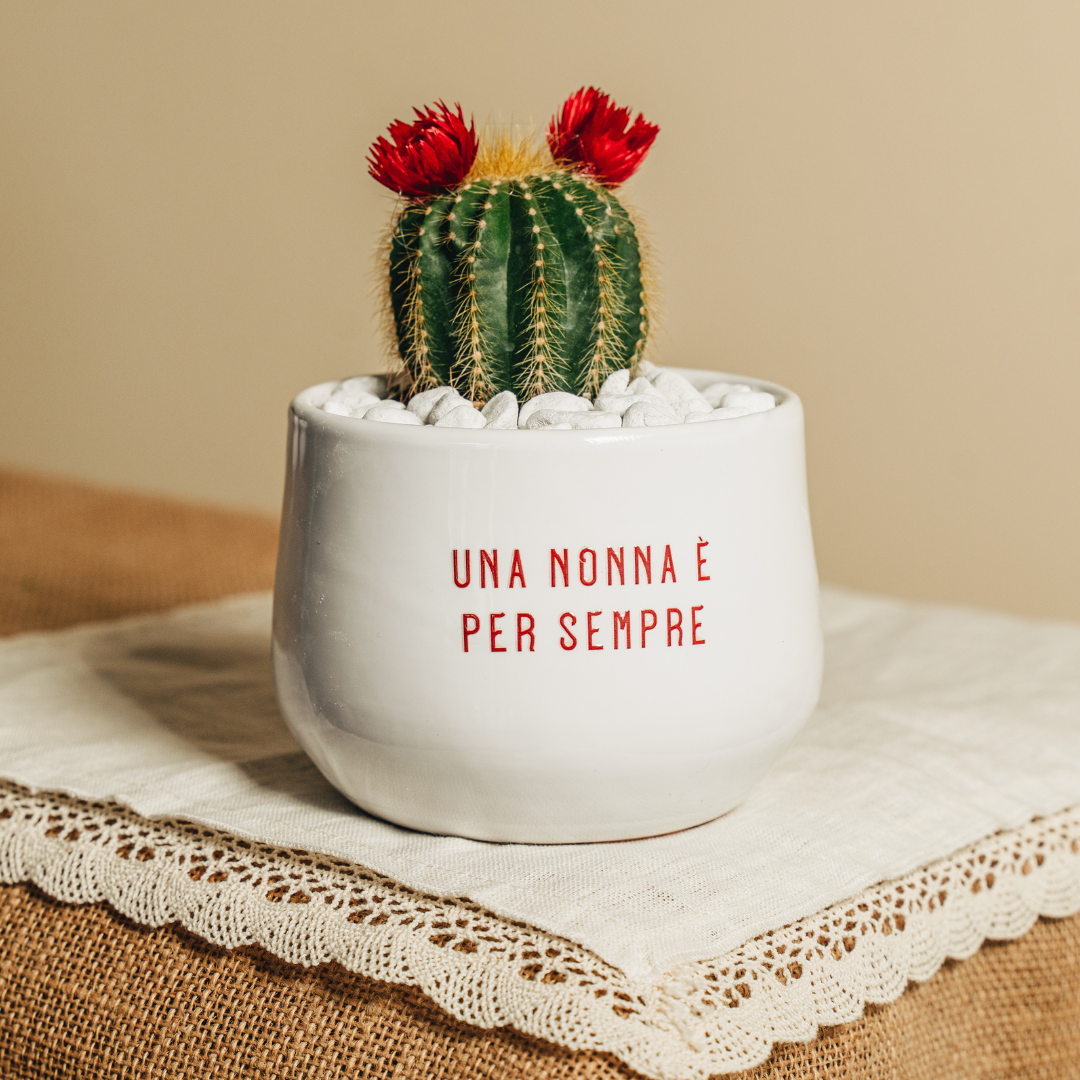 Immagine diapositiva