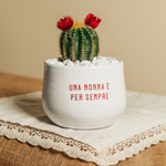 Immagine diapositiva