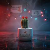 Gli amici non mentono, regalo cactus