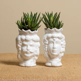 Coppia di Teste di Moro Piccole Bianche