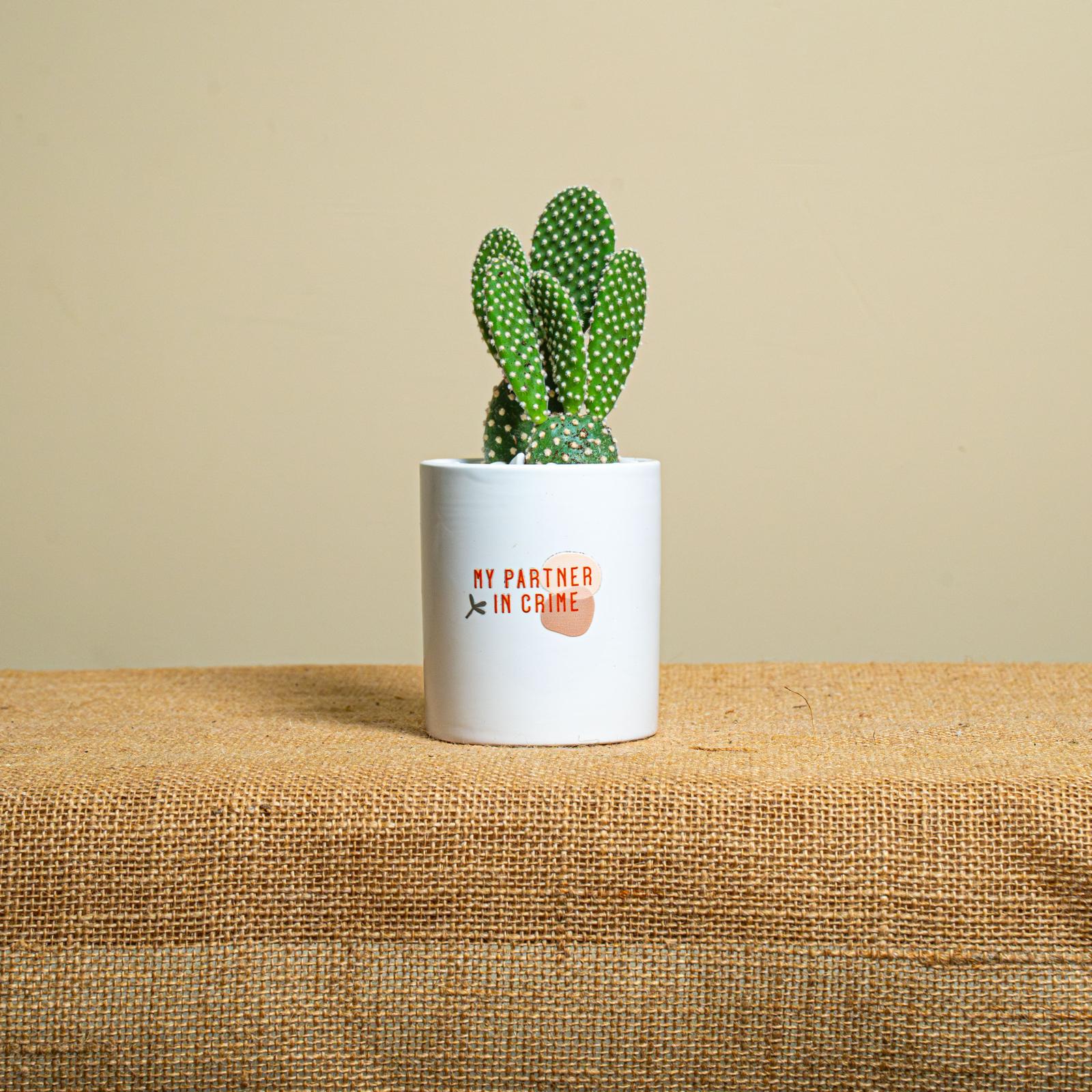 Immagine diapositiva