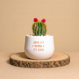 Dove c'è mamma c'è casa con Notocactus magnificus