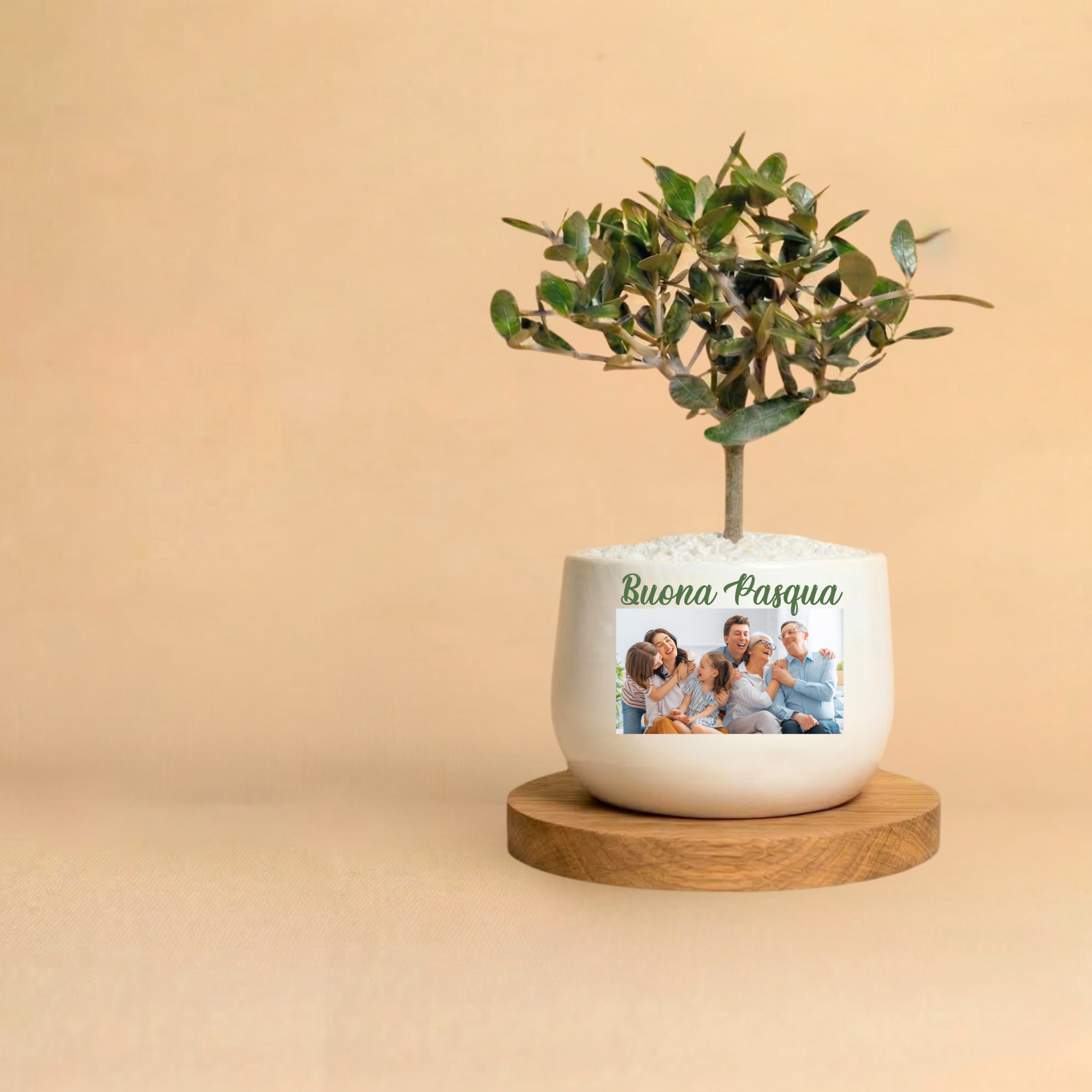 Immagine diapositiva