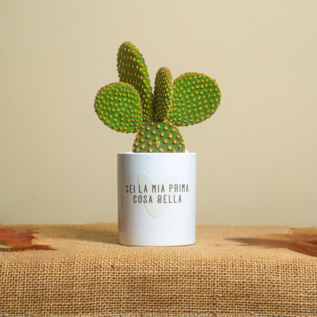 Immagine diapositiva