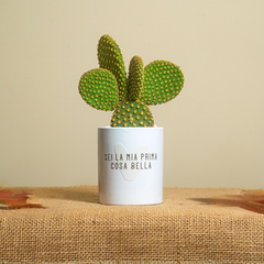 Immagine diapositiva