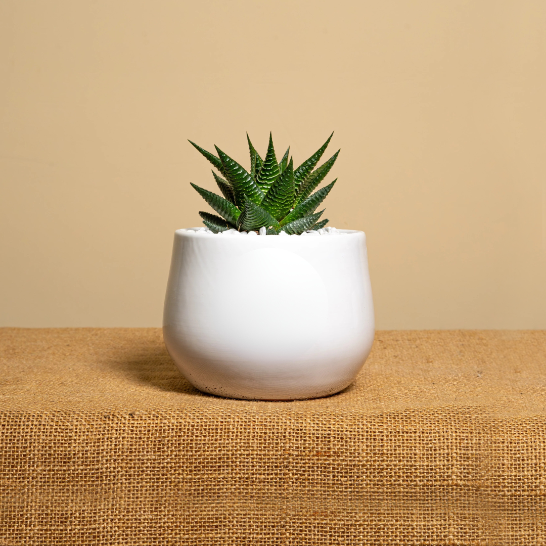 Prodotto Personalizzabile