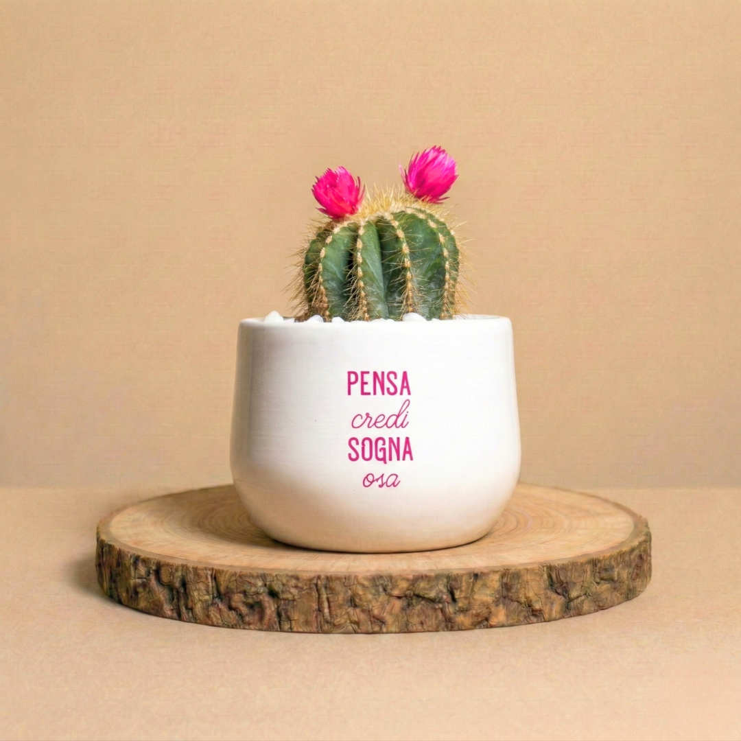 Pensa credi sogna osa