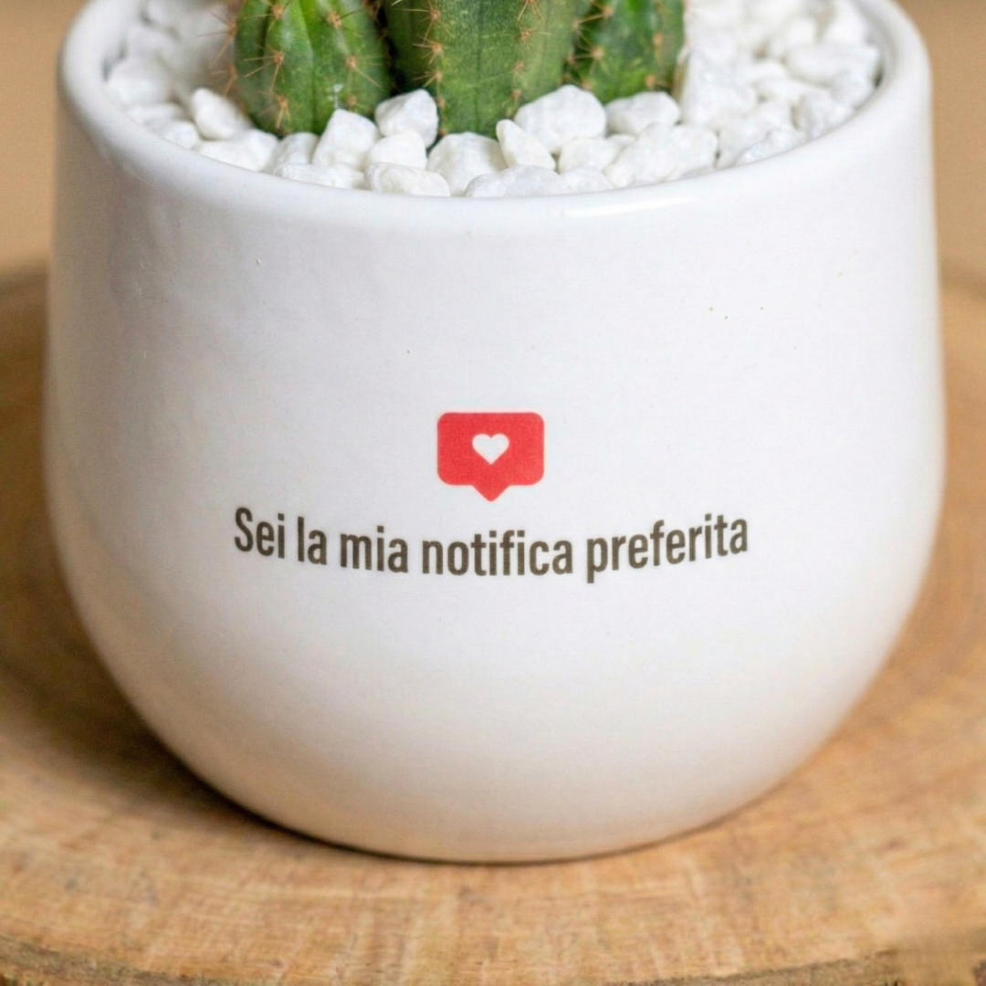 Sei la mia notifica preferita