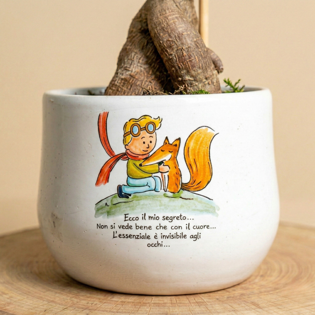 Piccolo Principe ginseng
