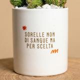 Sorelle non di sangue ma per scelta